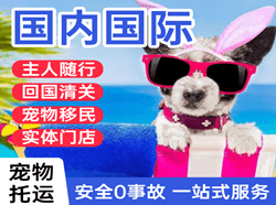 甘南夏河机场托运国际宠物托运 【国